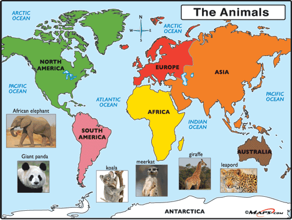World Animals Images
