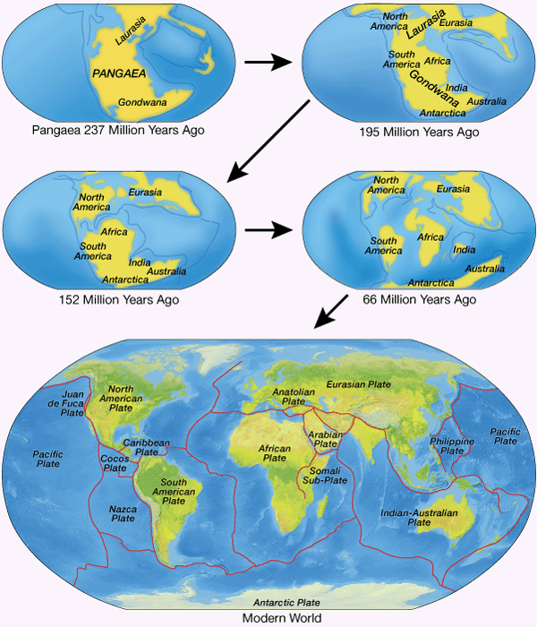 continental drift theory gif